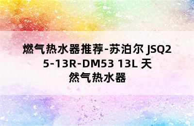 燃气热水器推荐-苏泊尔 JSQ25-13R-DM53 13L 天然气热水器